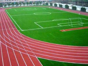 點(diǎn)擊查看詳細(xì)信息<br>標(biāo)題：學(xué)校塑膠跑道 閱讀次數(shù)：7662