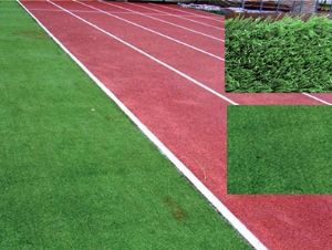 點(diǎn)擊查看詳細(xì)信息<br>標(biāo)題：人造草坪跑道 閱讀次數(shù)：7842