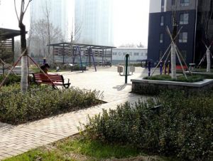 點(diǎn)擊查看詳細(xì)信息<br>標(biāo)題：濰坊虞河生活城1 閱讀次數(shù)：11383